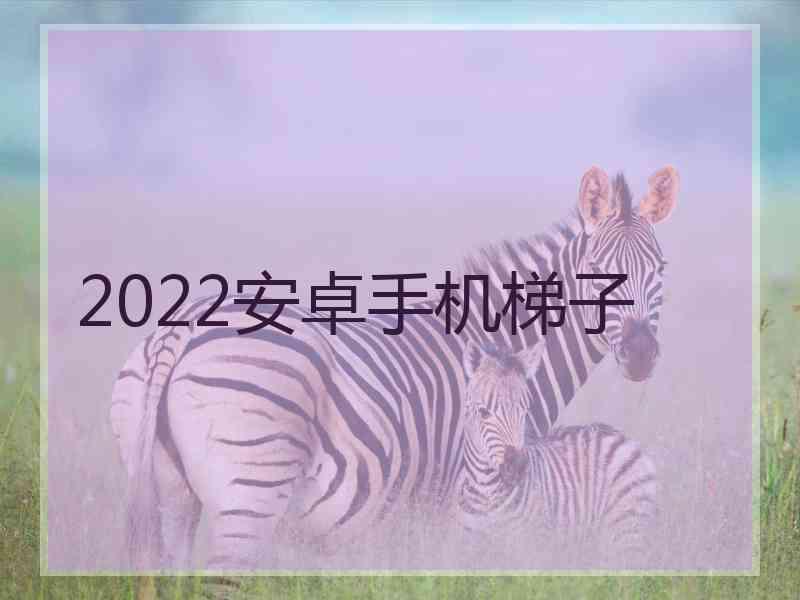 2022安卓手机梯子