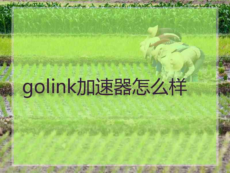 golink加速器怎么样