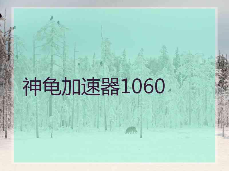 神龟加速器1060