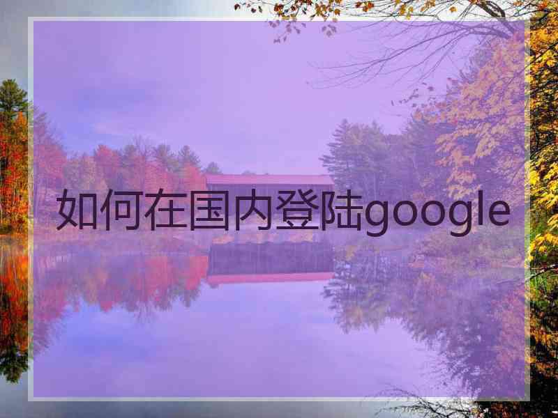 如何在国内登陆google