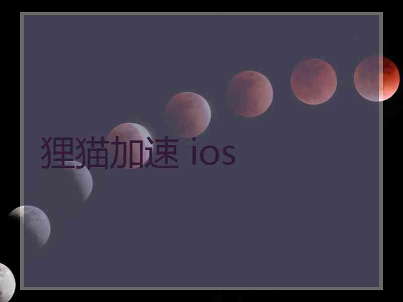 狸猫加速 ios