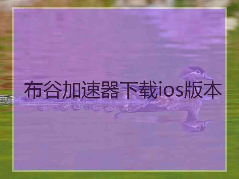 布谷加速器下载ios版本