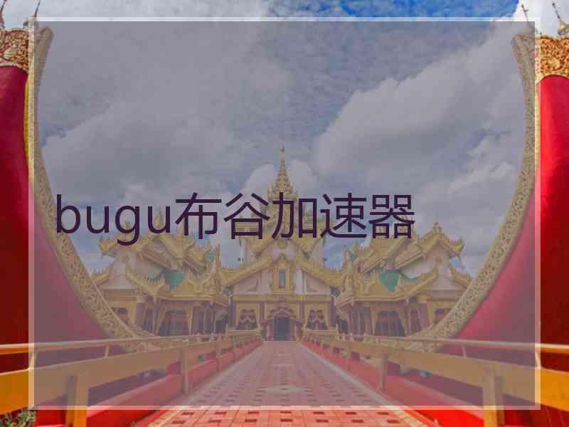 bugu布谷加速器