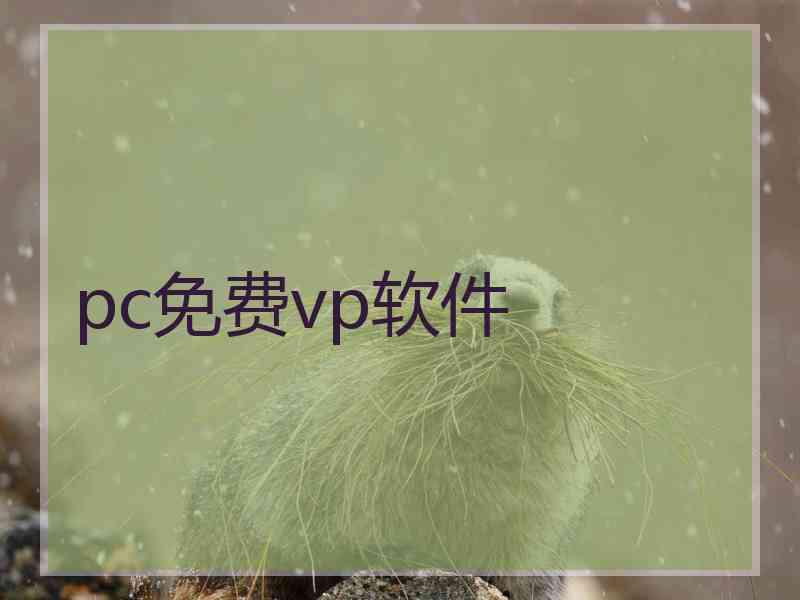 pc免费vp软件