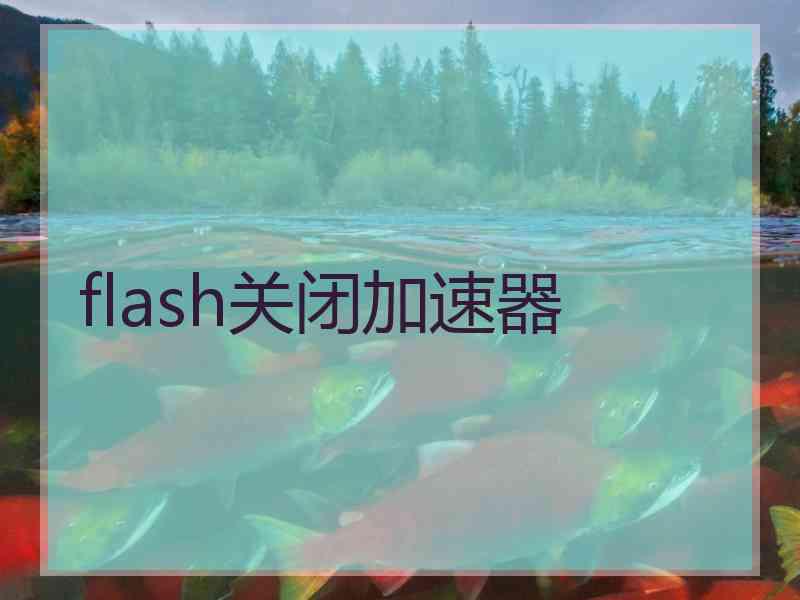 flash关闭加速器