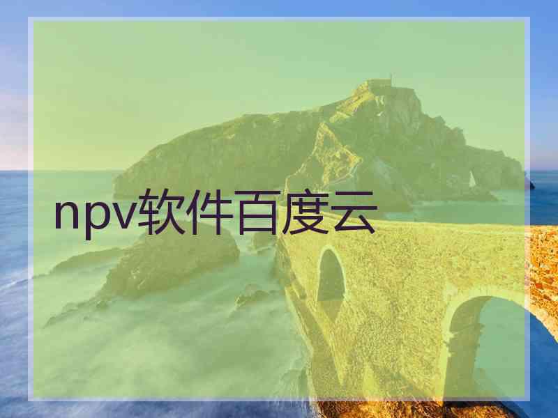 npv软件百度云