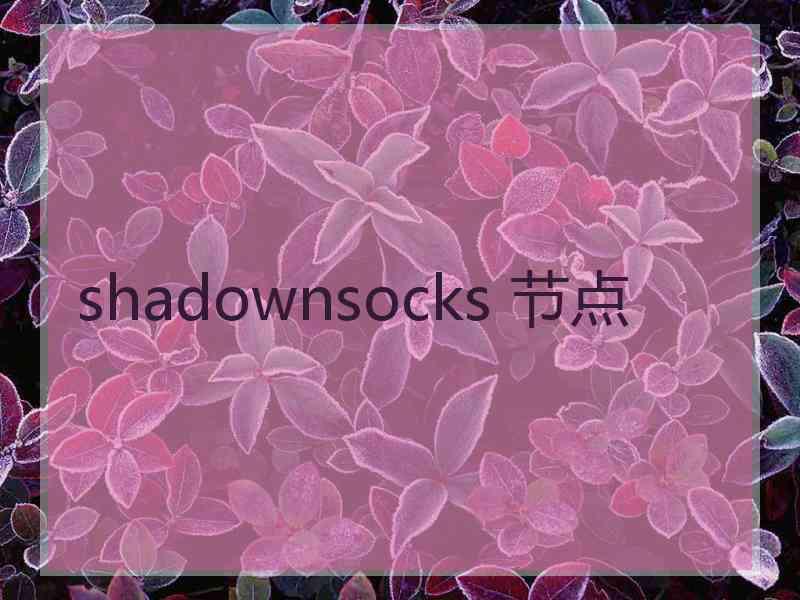 shadownsocks 节点