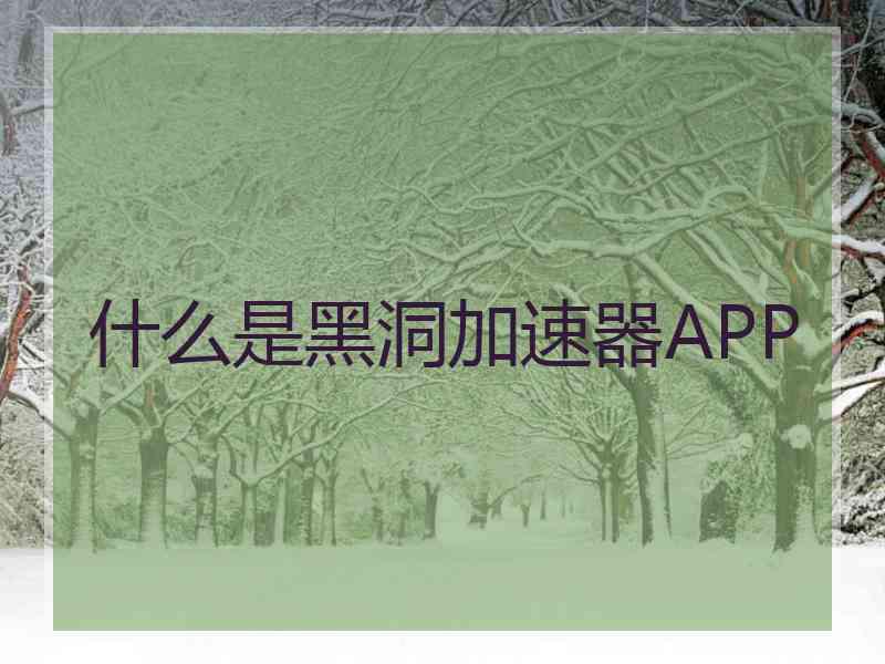 什么是黑洞加速器APP