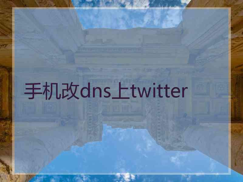 手机改dns上twitter