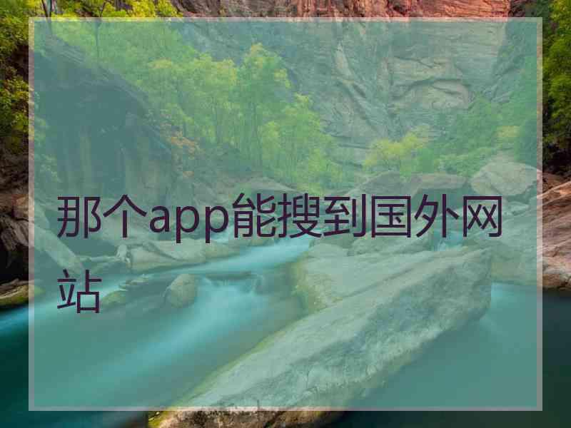 那个app能搜到国外网站