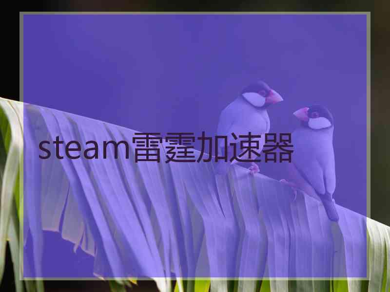 steam雷霆加速器