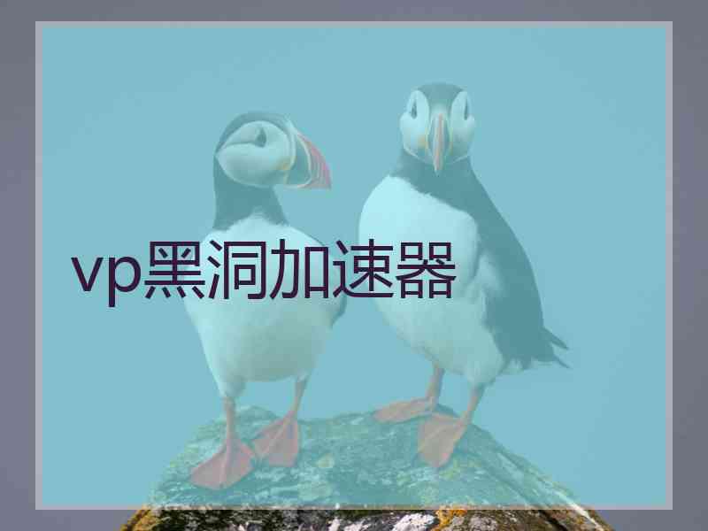 vp黑洞加速器