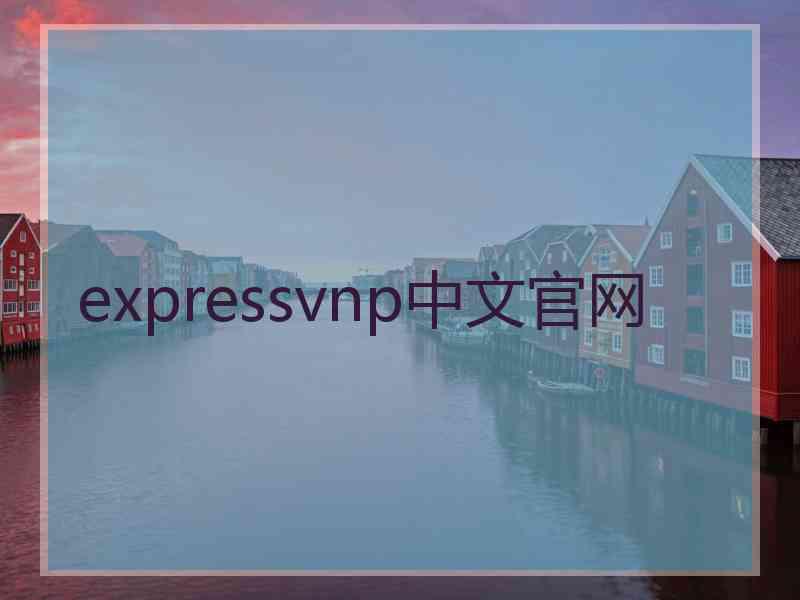 expressvnp中文官网