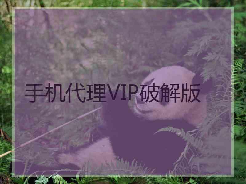 手机代理VIP破解版